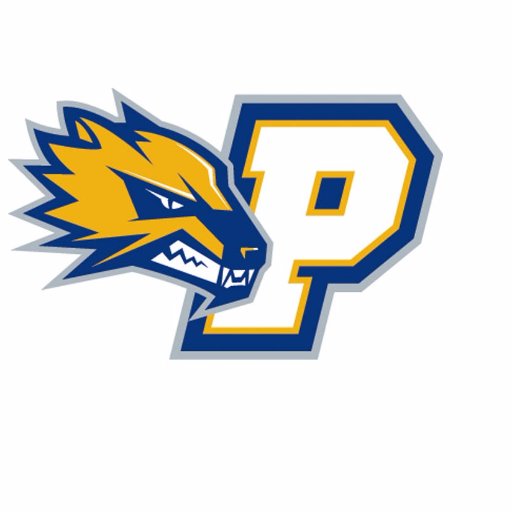 PACS Wolverine Baseball Profile