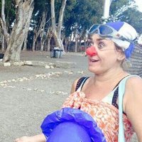 María José Parra (@maparra68) 's Twitter Profile
