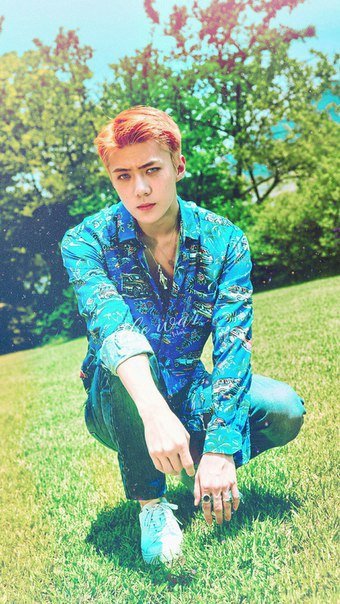 sexynbek's profile picture. епт.