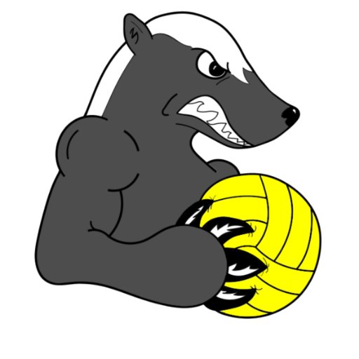 Southside Water Polo Club is a competitive youth water polo program for student-athletes from ages 5 to 18.