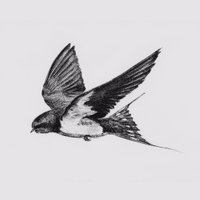 こはくがわ｜cohacugawa (@cohacunushi) Twitter profile photo