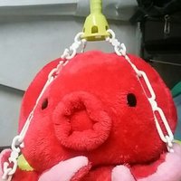 たこ (@octomath) 's Twitter Profile