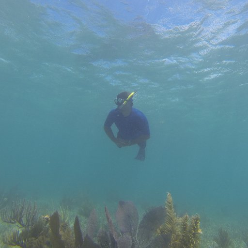 Ecosystem Ecologists studying the coasts of South Florida and Beyond