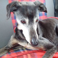 NickMrB (@nickmisterb) 's Twitter Profile Photo