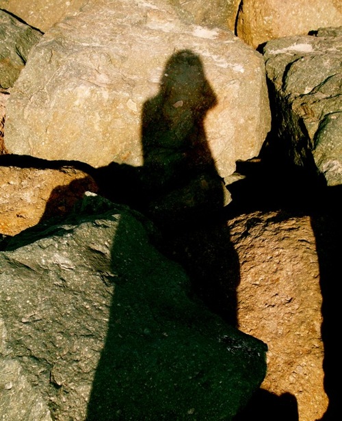 araneleuranna's profile picture. 