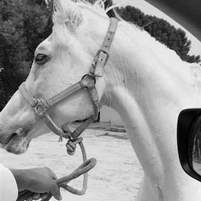 mmo__99's profile picture. 