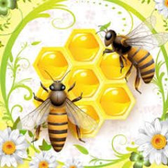 Welcome to Bee Inspired Gardening~ We are passionate about saving our Bees & helping our environment by cleaning the air we breathe...