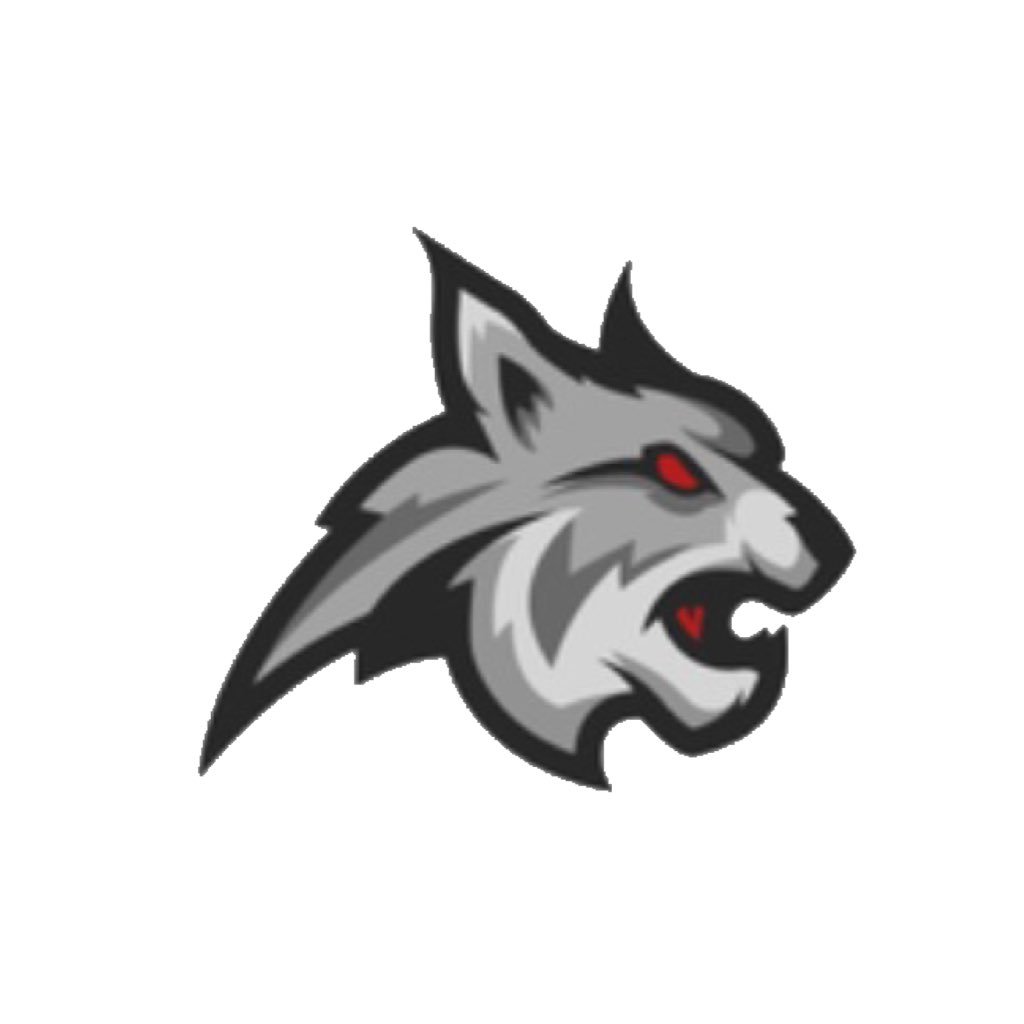 An up and coming YouTuber with 350+ Subscribers. CLICK THE LINK BELOW