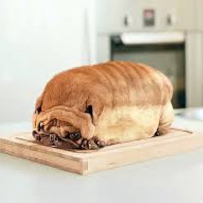 Fatterdog (@Fatterdog) / Twitter Fatterdog (@Fatterdog) / Twitter