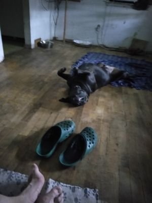 RickA85876728's profile picture. I study I learn for my self if you believe everything you hear they have you hook line and sinker I grew up the hard way my mom and dad were share cropers