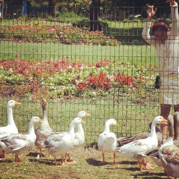 reemaOhali's profile picture. 