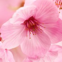 Jonell Hastings (@jonell_hastings) 's Twitter Profile