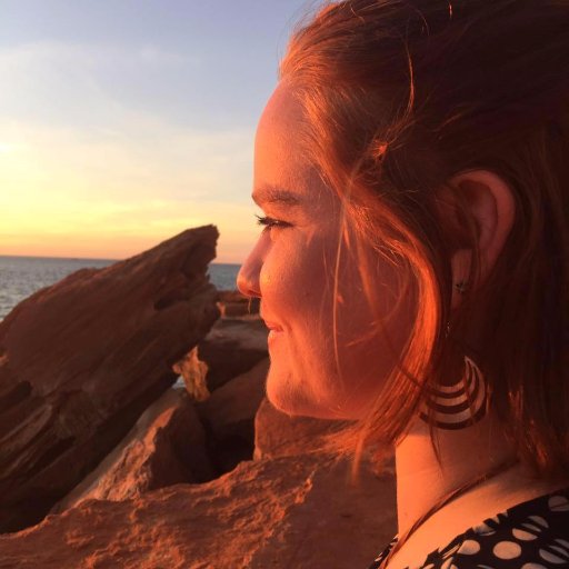 AkiraBoardman's profile picture. 