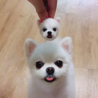 mathnote's profile picture. 