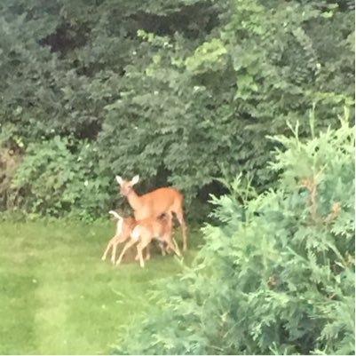 creyente en Dios todo poderoso. amante de los animales y respetuosa de nuestra naturaleza