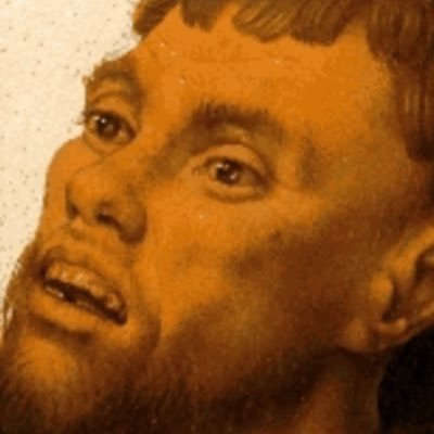 mucky_skunk's profile picture. the dumbest stuff i can think