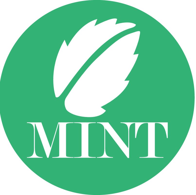 mintadvisors's profile picture. Consulting firm helping website owners monetize their web properties by developing personalized advertising positions and acquiring paid advertising clients.