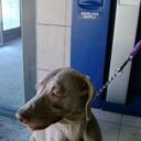 april compton - @lemonadestudio - Twitter