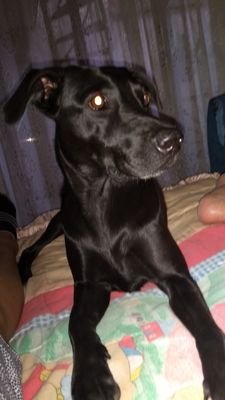 Marisol46108250's profile picture. Dios