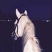 ا (@7tlxg7ah9hl2ulm) Twitter profile photo ا (@7tlxg7ah9hl2ulm) Twitter profile photo