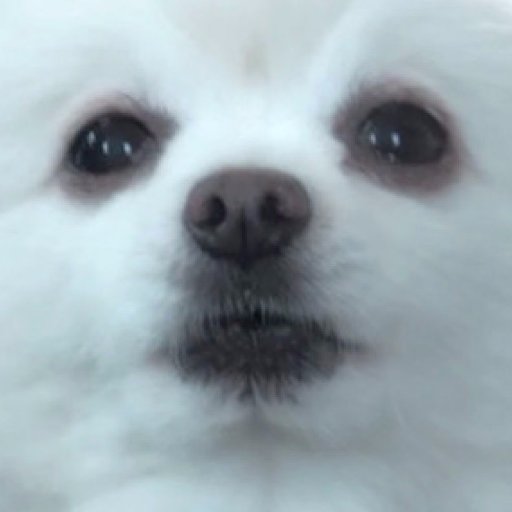 NateShinabargar's profile picture. Rapper, Marvel Snapper, Bag Grabber