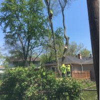 Precise Tree Care(@PreciseTreeCare) 's Twitter Profile Photo