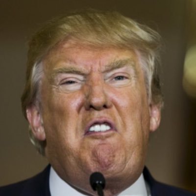 DTrumpgaryen's profile picture. El primero de mi nombre, el creador de muros (y México pagará por ellos), el rubio, madre de dragones, liberador de ratones... Make America Great Again!