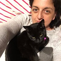 @ginoiseau (@ginoiseau) 's Twitter Profile