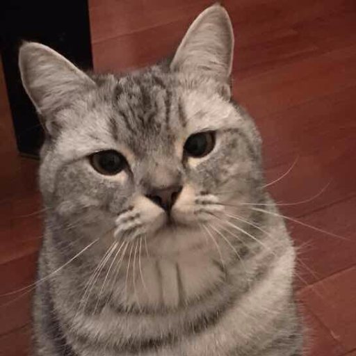 aifuuu's profile picture. 