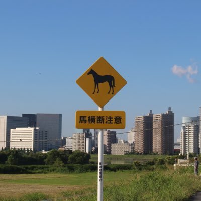 UmaNoSogako's profile picture. 世の中の理不尽なことから平常心を保つため、道徳に逆らわない形でストレスを発散する筆記開示… 僕にとってそれはXでポストをすることである…！※週末ポスト多め（馬担当）