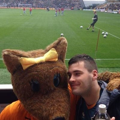 stedonwwfc Profile Picture