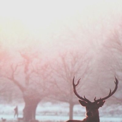 eva44_'s profile picture. 24y.o