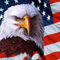 American Eagle 🇺🇸 (@american_eagle0) 's Twitter Profile Photo