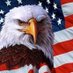 American Eagle 🇺🇸 (@american_eagle0) Twitter profile photo American Eagle 🇺🇸 (@american_eagle0) Twitter profile photo