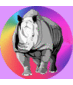 Theatre Rhinoceros (@followtherhino) Twitter profile photo Theatre Rhinoceros (@followtherhino) Twitter profile photo