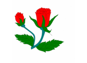 Anshuman Shukla - @anshuman_Shukla - Twitter