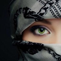 لذة عشق (@orevfen0ckatfc9) 's Twitter Profile