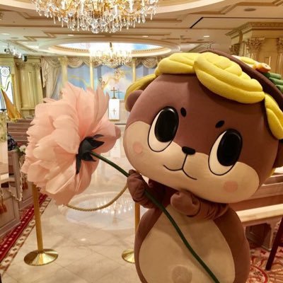 土佐っ子としての心意気を持ちながら阿波人として生涯終える。猫と🦉ふくろう好き。ダムやら廃道やら廃墟やら階段好き。 *無言フォロー失礼します*