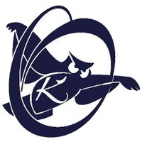 Kingston Night Owls (@kamalasar) 's Twitter Profile