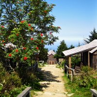 LeConte Lodge (@lecontelodge) 's Twitter Profile