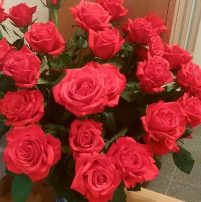 Mirroko's profile picture. 