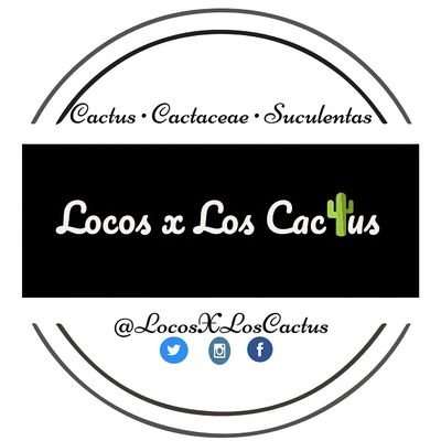 Cactus • Cactaceae • Suculentas     🌵 #LocosXLosCactus #CactusLover