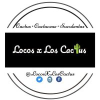 Locos X Los Cactus 💜🌵(@LocosXLosCactus) 's Twitter Profile Photo