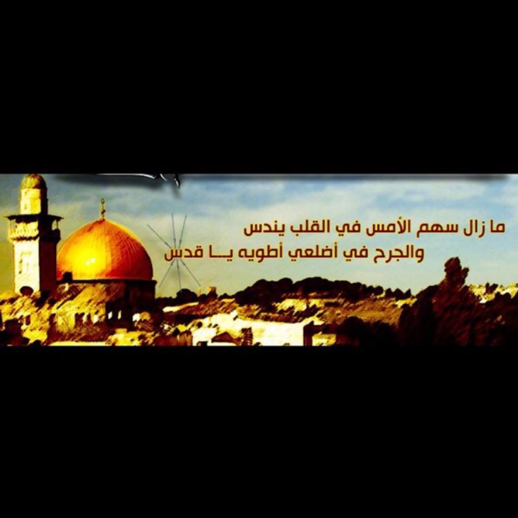 1420batoool's profile picture. أنثى تكره النفاق والأبتذال ولا اعرف التلون أم لشيخ سعود وأم لطالبات علم شرعي 🥰