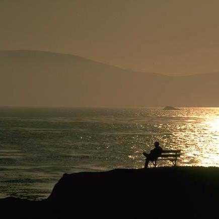 ozkys's profile picture. 