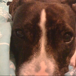 New2Sobriety's profile picture. Single mum, recovering alcoholic... taking this one day at a time :)