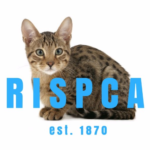 The RISPCA is a 501c3 animal welfare agency. We care for over 2,000 animals each year as well as investigate nearly 200 acts of animal cruelty.