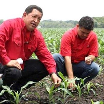 infda13's profile picture. 