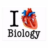 Mrs. Balicki ❤️ Memecoin (@balickisbio) 's Twitter Profile Photo Mrs. Balicki ❤️ Memecoin (@balickisbio) 's Twitter Profile Photo