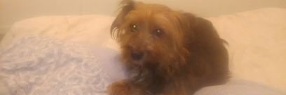 David77912402's profile picture. J'aime bien le cinéma de faire des jeux vidéo écouter de la musique aller au restaurant